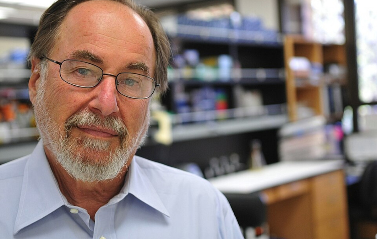 Biologist David Baltimor died, awarded Nobel Prize in Medicine to study retroviruses Biologist David Baltimor died, awarded Nobel Prize in Medicine to study retroviruses