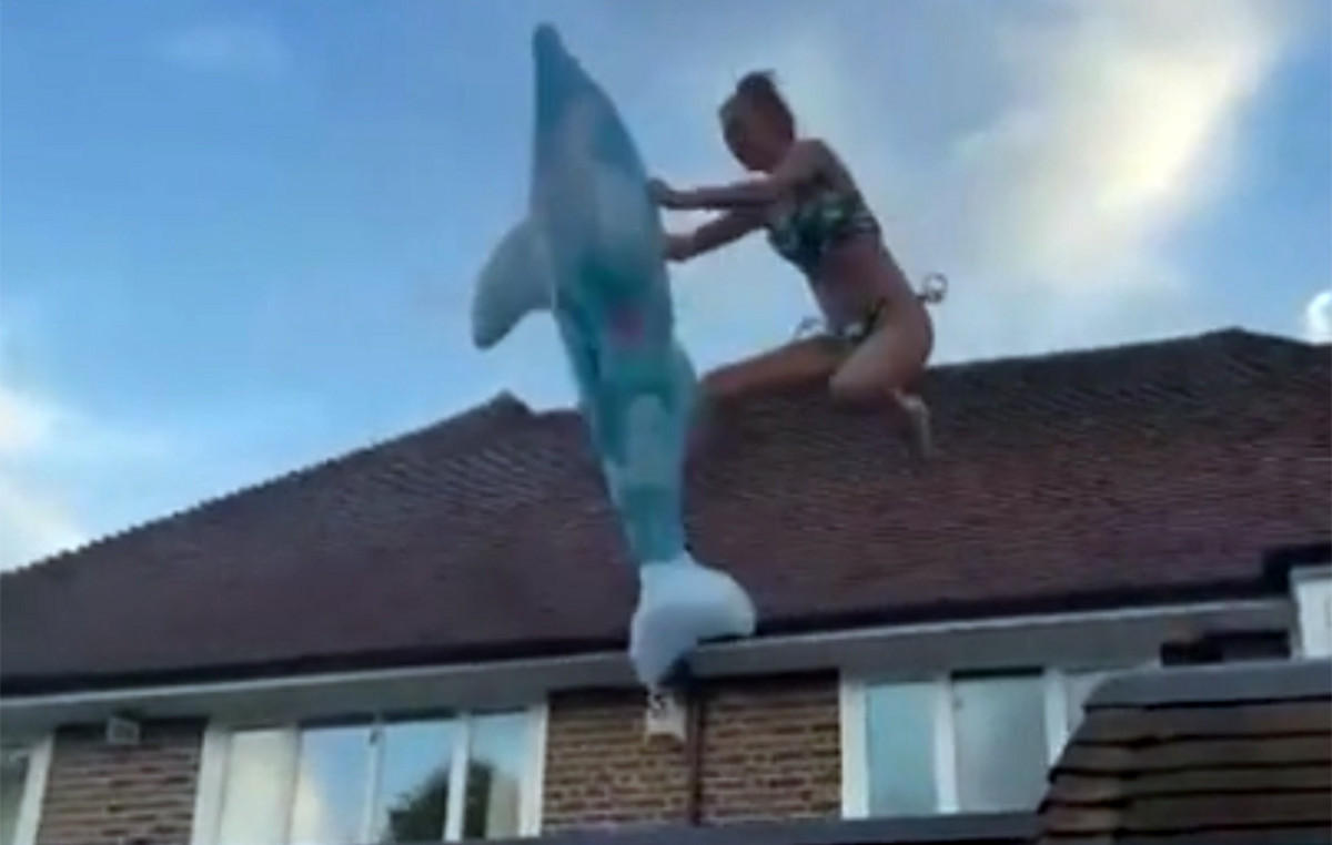 Serious 33 -year -old injury who dipped on a roof on an inflatable dolphin – Watch video