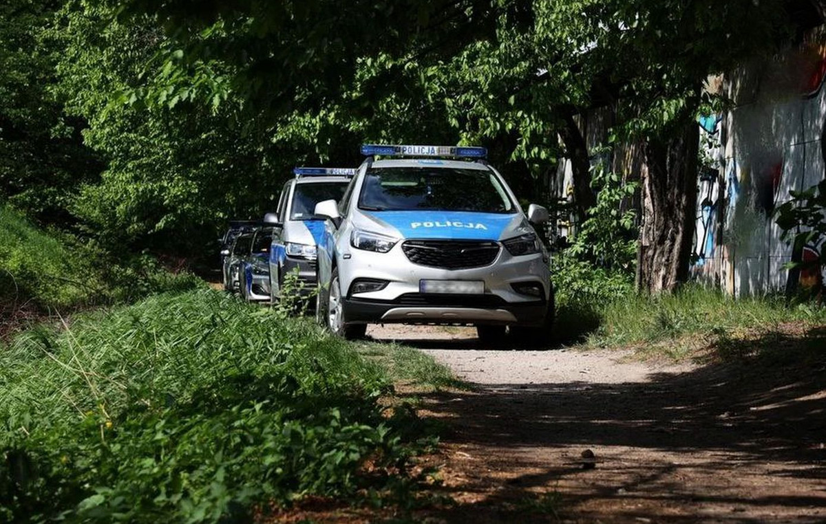 Unmanned aircraft fell near a village in Eastern Poland – it was not military type