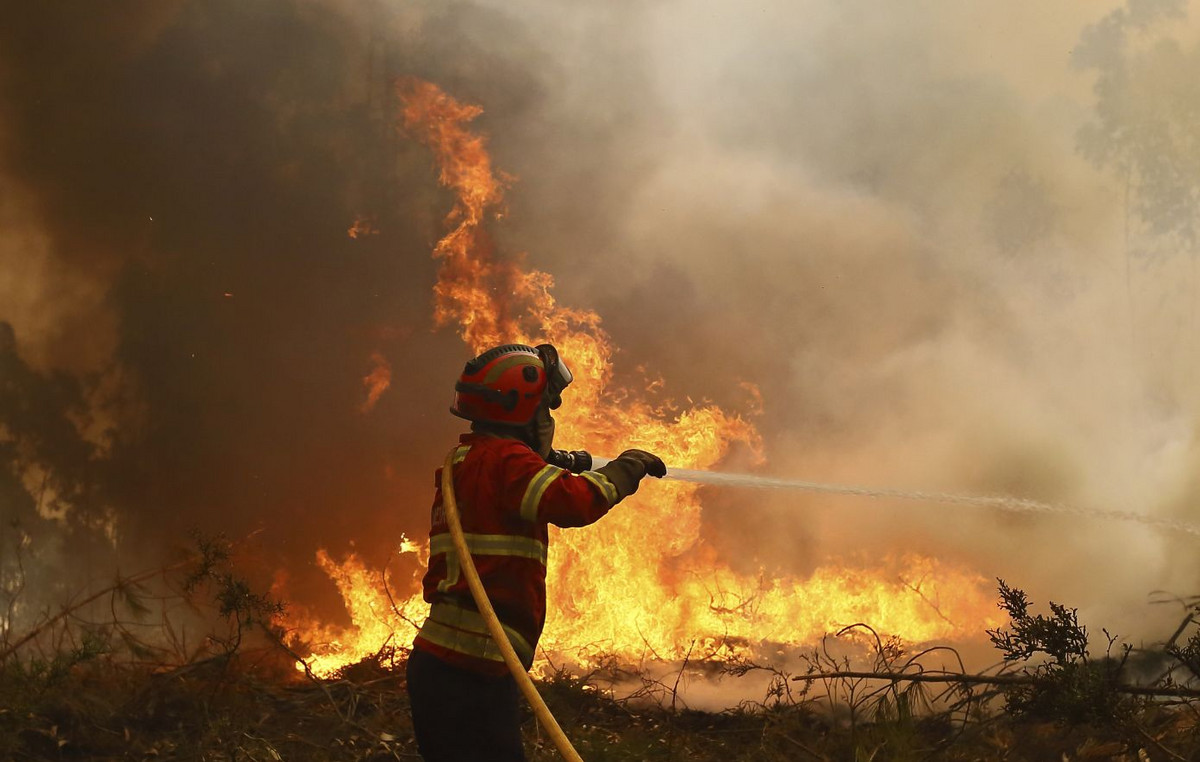 Fires in Iberia: Over 700 firefighters on the fronts in Portugal