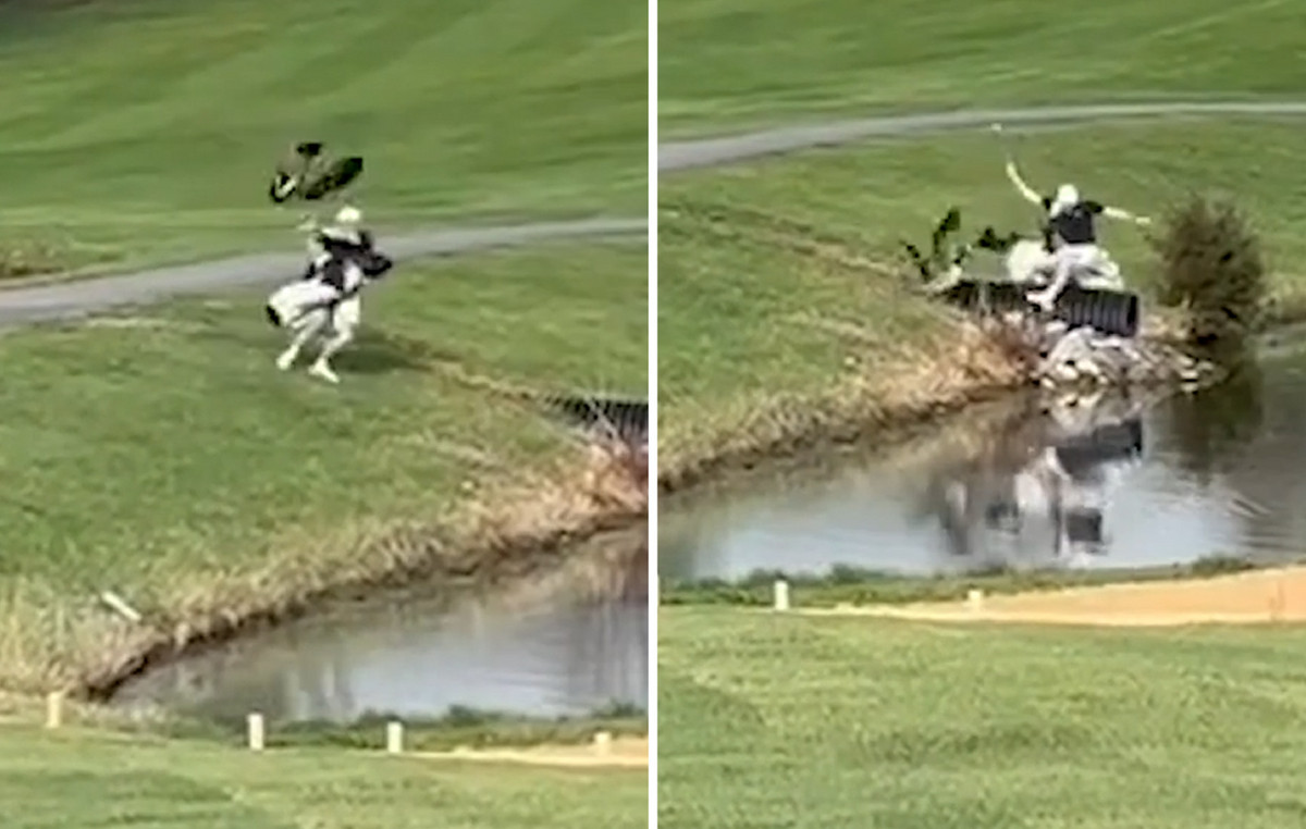 Goose attacks a golf player and throws him into a lake