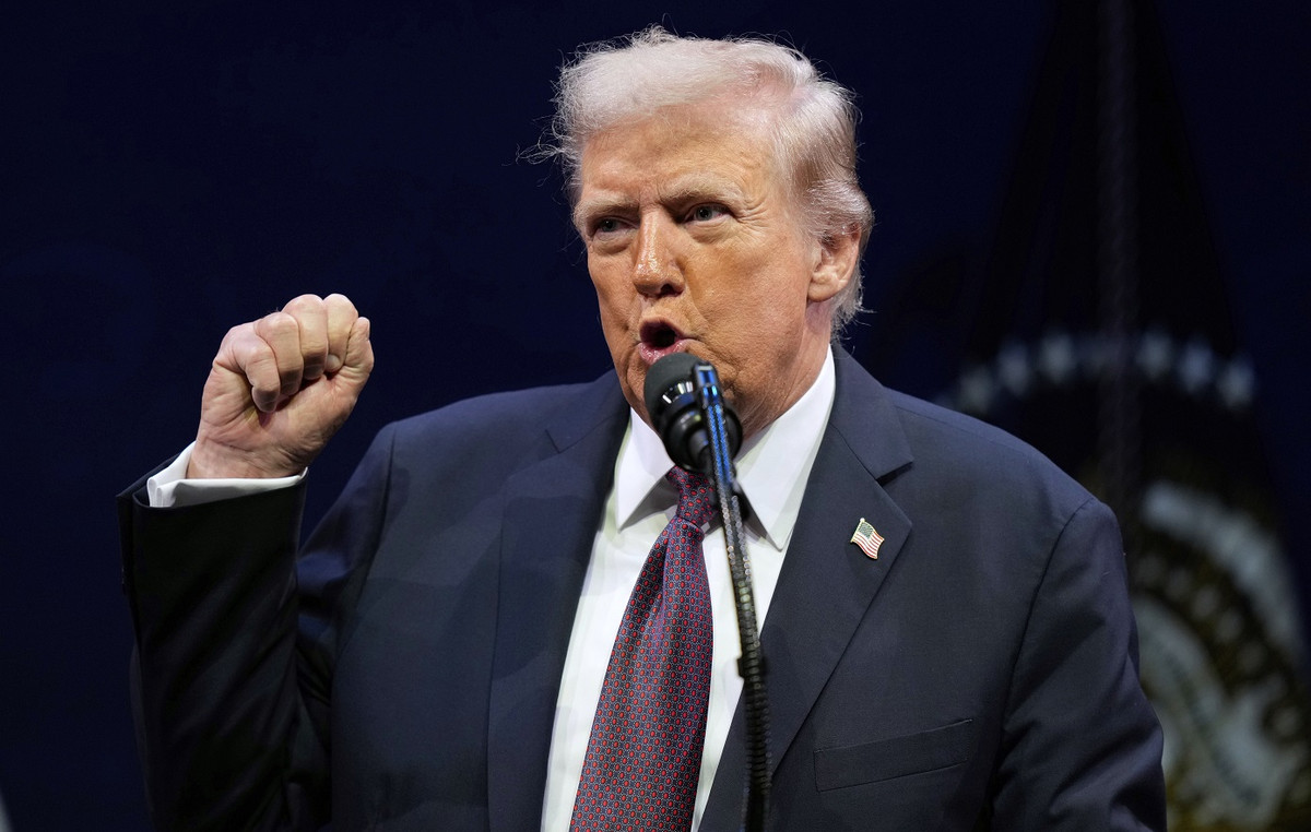 New York Court of Appeal ratified Trump’s conviction for E. Jin Carol’s defamation