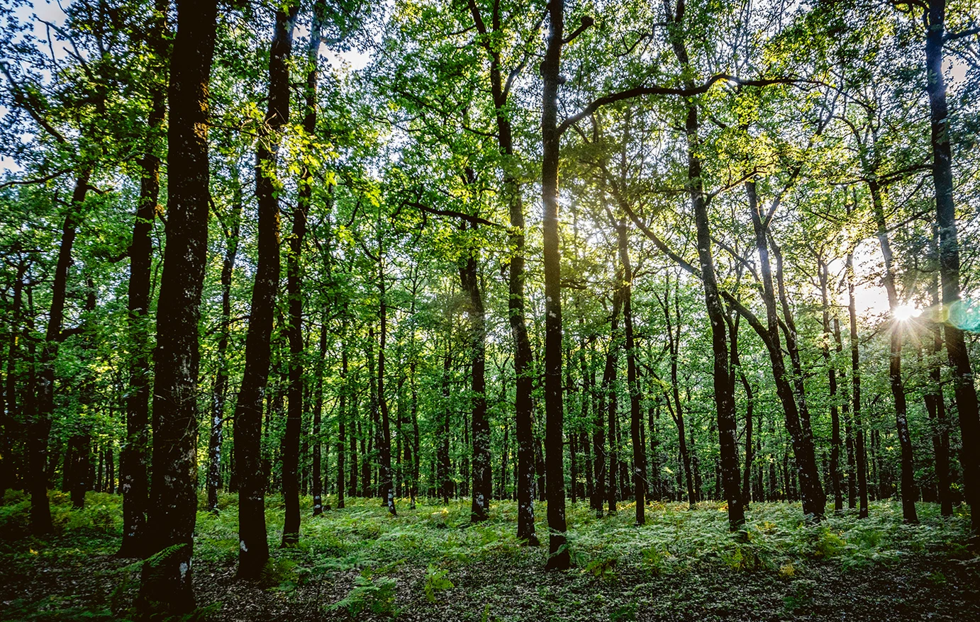 Έρχεται νέος «κόφτης» στα Airbnb