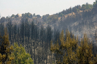 Πιστώσεις 17 εκατ. ευρώ σε δήμους για τις δασικές πυρκαγιές