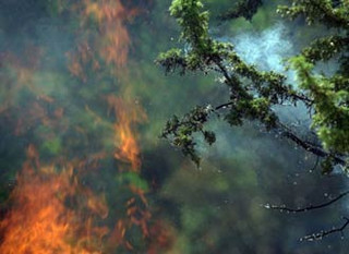 Φωτιά στις Σέρρες: Οριοθετήθηκε η πυρκαγιά στο Νέο Πετρίτσι