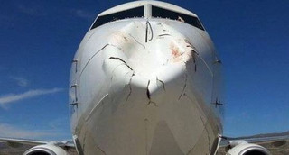 Απίστευτη ζημιά έκανε σε Boeing η σύγκρουση με ένα «τεράστιο πτηνό»!