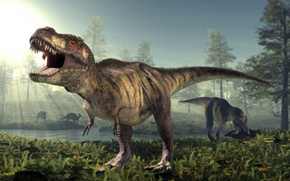 Τι δεν ξέρουμε για τον Τυραννόσαυρο Ρεξ
