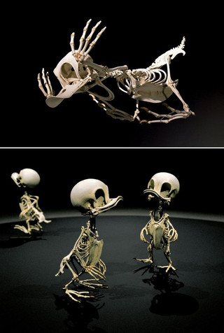 03-Skeletons-Cartoon-Characters