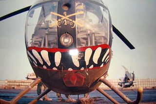 09-vietnam-helicopters