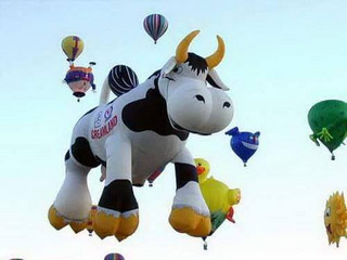 11428006_858893580873059_8258289235190814191_n