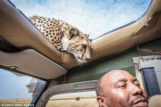 meanwhile-in-africa-12