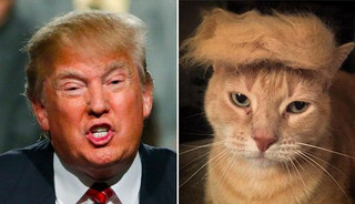 02-donald-trump-0