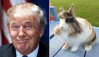 05-donald-trump-0