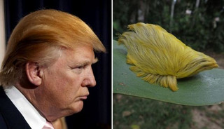 07-donald-trump-0