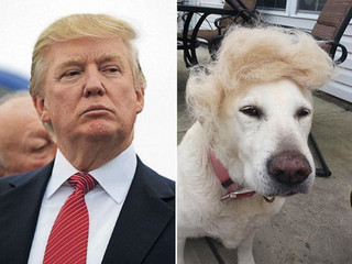 08-donald-trump-0