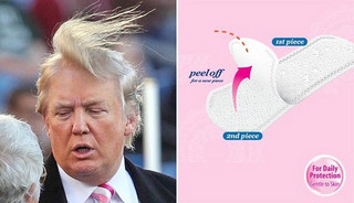 13-donald-trump-0