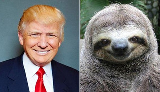 15-donald-trump-0