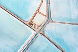 Blue-Fields-No-1-__880
