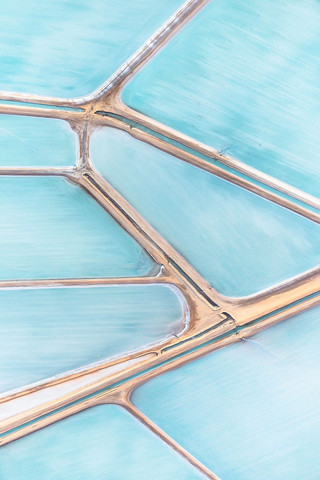 Blue-Fields-No-2-1__880