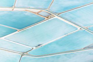Blue-Fields-No-9-1__880