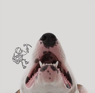 Jimmy-the-Bull-Terrier5__605