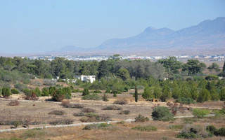 _KS00385