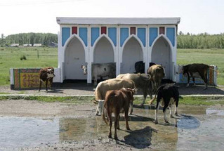 bus-stops-in-the-ussr-27