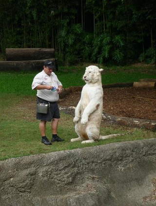 deadly_animals_19