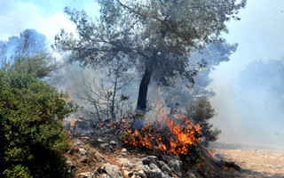 ΦΩΤΙΑ ΚΑΡΕΑΣ ΠΥΡΚΑΓΙΑ