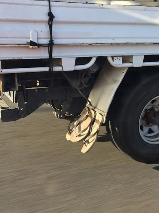 genius_or_stupid_26