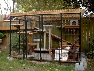 looks_like_normal_patio_05