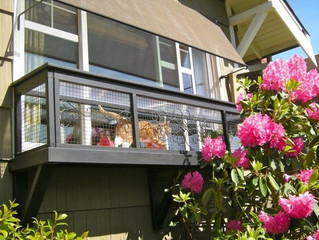 looks_like_normal_patio_08