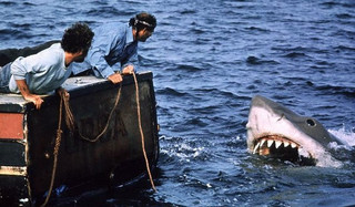 sharkasm1