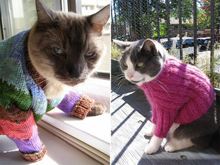 sweater14