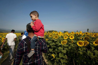 Syrian refugees walk through a field near the village of Idomeni at the Greek-Macedonian border, July 14, 2015. The United Nations refugee agency said that Greece urgently needed help to cope with 1,000 migrants arriving each day and called on the European Union (EU) to step in before the humanitarian situation deteriorates further. More than 77,000 people have arrived by sea to Greece so far this year, more than 60 percent of them Syrians, with others fleeing Afghanistan, Iraq, Eritrea and Somalia, it said. REUTERS/Alexandros Avramidis