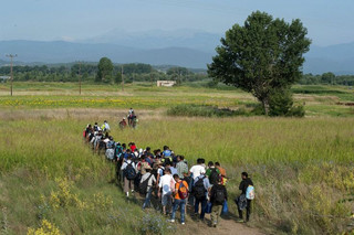 Syrian refugees walk through a field near the village of Idomeni at the Greek-Macedonian border, July 14, 2015. The United Nations refugee agency said that Greece urgently needed help to cope with 1,000 migrants arriving each day and called on the European Union (EU) to step in before the humanitarian situation deteriorates further. More than 77,000 people have arrived by sea to Greece so far this year, more than 60 percent of them Syrians, with others fleeing Afghanistan, Iraq, Eritrea and Somalia, it said. REUTERS/Alexandros Avramidis