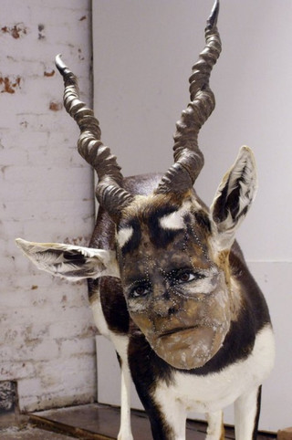 taxidermy_human_face_23