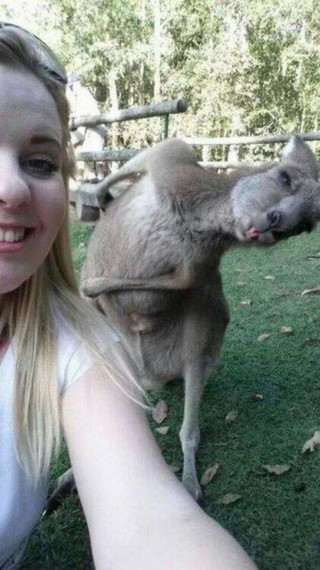 28-Cute-and-adorable-animals-to-freshen-up-your-mood-002