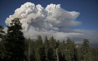Smoke plumes rise from the so-called "Rough Fire" in the Sierra National Forest, California