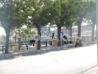 rodos4