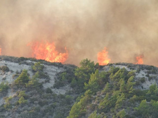 rodos