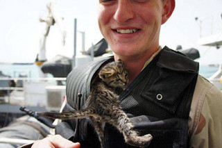 soldiers_and_cats_18