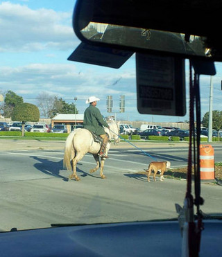 things_are_just_stranger_in_texas_640_39