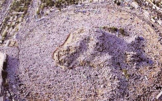 MECCA3