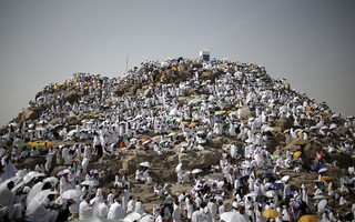MECCA8