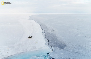 Αυτοκρατορικοί πιγκουίνοι στην Ανταρκτική. Φωτογραφία: Brian Stetson