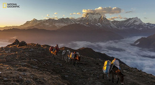 «Το τοπίο των Ιμαλαΐων μου παίρνει το μυαλό», περιγράφει ο φωτογράφος  Jonathan Abdipranoto που αποτύπωσε στο φακό του το βουνό Dhaulagiri στην ανατολή του ηλίου.
