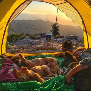 camping-with-dog-ryan-carter-85__605