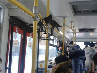 ruonly_in_russia_15