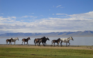 Kyrgyzstan8